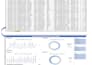 create professional excel dashboard and data analysis report